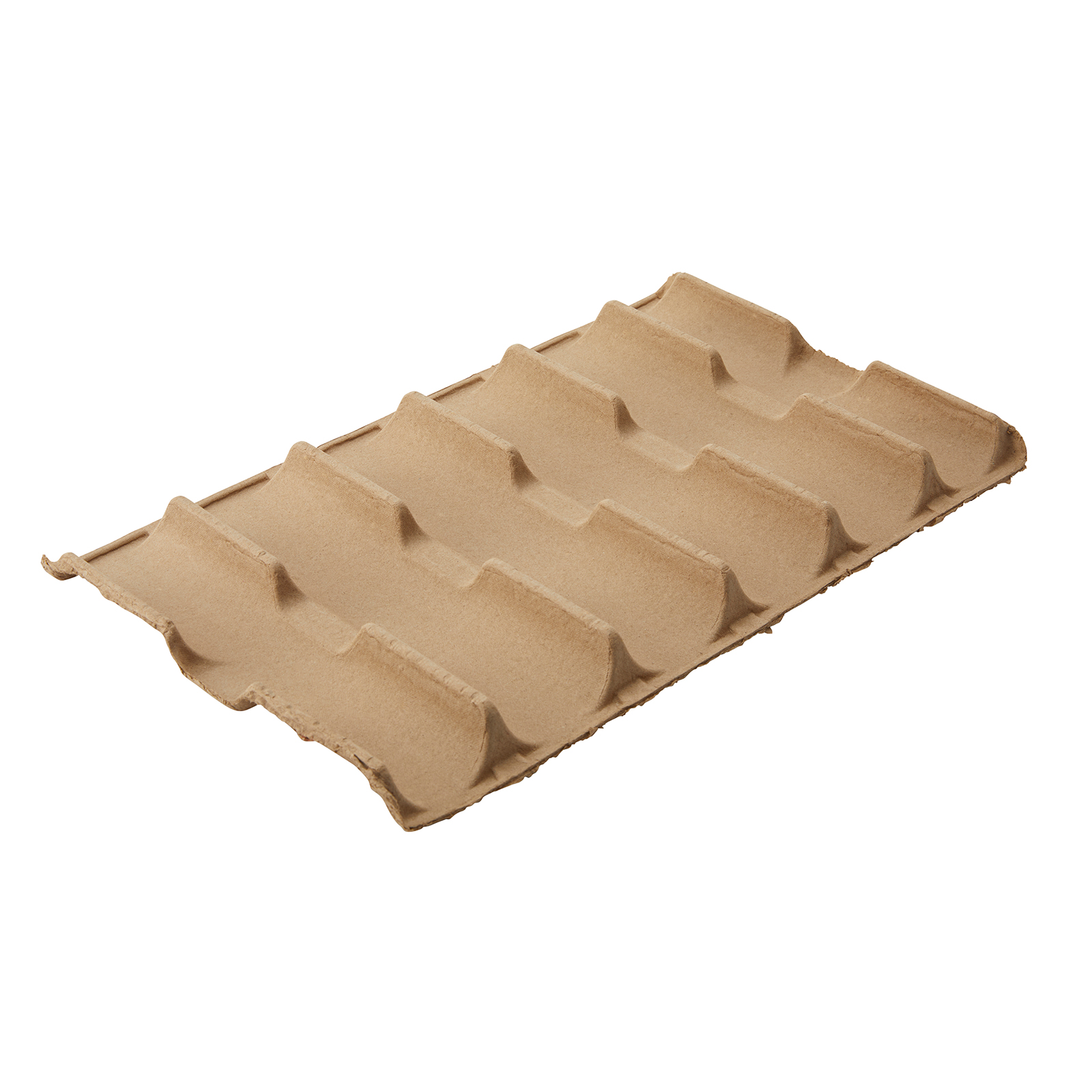 6 Wine Bottle Carton Insert